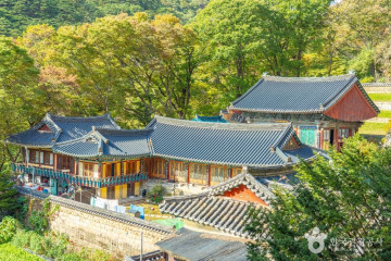 문장대 여행 추천 - 메고지고