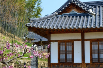 교동저수지(교동생태습지) 여행 추천 - 메고지고