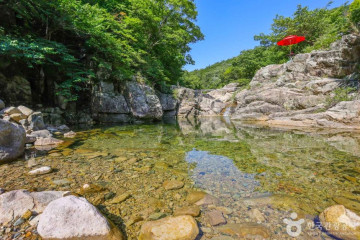 숲애서 여행 추천 - 메고지고
