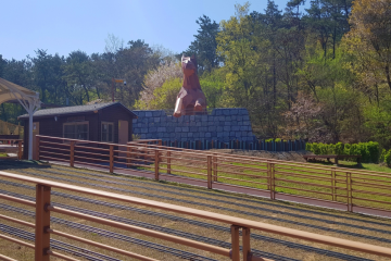 울산양떼목장 여행 추천 - 메고지고