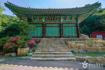 용연사(대구) 여행 추천 - 메고지고