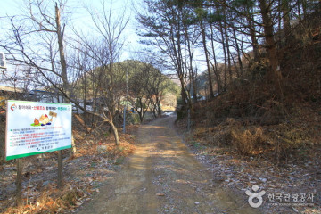 춘천캠핑월드 여행 추천 - 메고지고