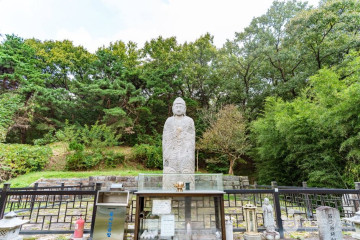다라미자운영마을 여행 추천 - 메고지고