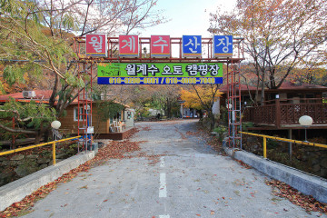 산내956 여행 추천 - 메고지고