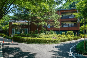 용문사(대구) 여행 추천 - 메고지고