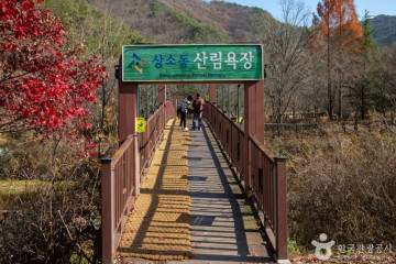 캠프향기 여행 추천 - 메고지고