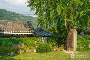 아날로그데이 여행 추천 - 메고지고