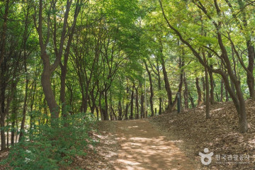 대전광역시청 시민잔디광장 여행 추천 - 메고지고