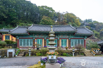 아잘리아그린캠핑장 여행 추천 - 메고지고