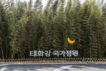 태화강 여행 추천 - 메고지고