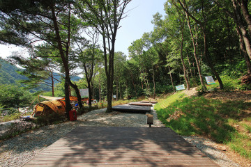 국립 용현자연휴양림 여행 추천 - 메고지고