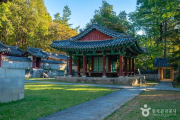 금오산 에코 힐링숲 여행 추천 - 메고지고
