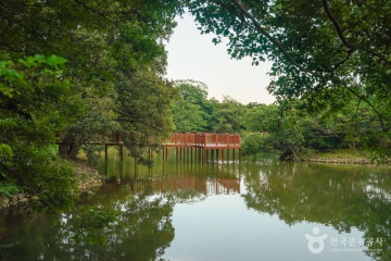 여좌천(여좌천로망스다리) 여행 추천 - 메고지고
