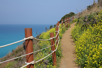 만춘서점 여행 추천 - 메고지고