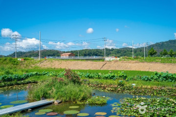창녕우포곤충나라 여행 추천 - 메고지고