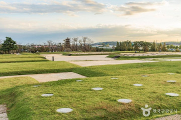 익산 고도리 석조여래입상 여행 추천 - 메고지고