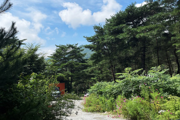 슬로우캠프 여행 추천 - 메고지고