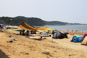 소사나무 군락지 여행 추천 - 메고지고