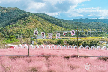 복분자유원지 여행 추천 - 메고지고