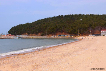 천리포항 여행 추천 - 메고지고