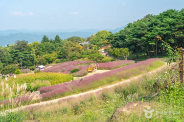 가산글램핑 여행 추천 - 메고지고