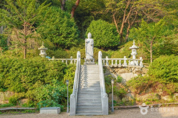 키위키즈랜드 여행 추천 - 메고지고