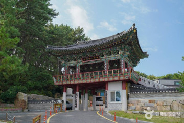 국립부산과학관 여행 추천 - 메고지고