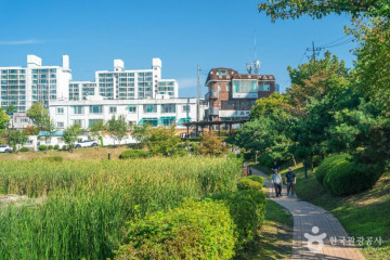 충주시택견원 여행 추천 - 메고지고