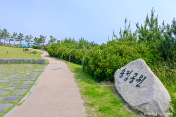 울산해양박물관 여행 추천 - 메고지고