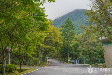 이임간유허비 여행 추천 - 메고지고