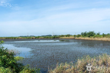 천장사(서산) 여행 추천 - 메고지고