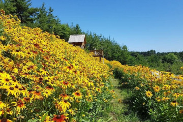 김동명문학관 여행 추천 - 메고지고