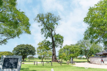 해미 국제 성지순례길 여행 추천 - 메고지고