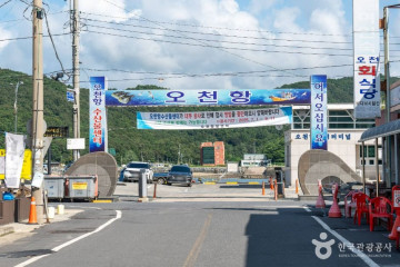 더반 힐 글램핑 여행 추천 - 메고지고