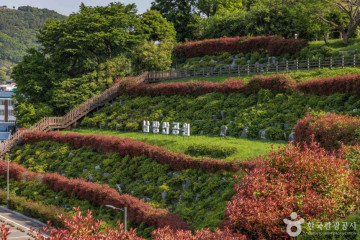 청마생가 여행 추천 - 메고지고
