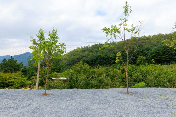 동산오토캠핑장 여행 추천 - 메고지고
