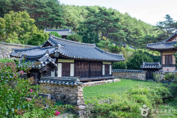 안동 군자마을(오천유적지) 여행 추천 - 메고지고