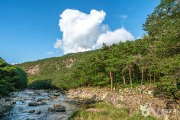 도락산 여행 추천 - 메고지고
