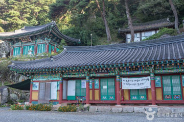 청도군 자전거공원 캠핑장 여행 추천 - 메고지고