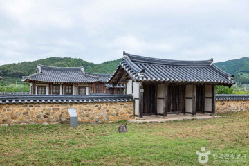 청송 장전리 향나무 여행 추천 - 메고지고