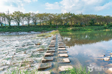 민들레동산힐링센터 여행 추천 - 메고지고