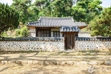 예천 금남리 황목근(팽나무) 여행 추천 - 메고지고
