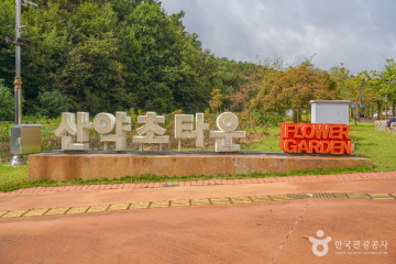 진안 꽃잔디동산 여행 추천 - 메고지고