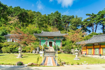 양양 진전사지 삼층석탑 여행 추천 - 메고지고