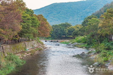 장선천 여행 추천 - 메고지고