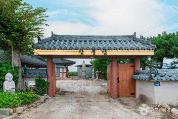 김제 메타세쿼이아길 여행 추천 - 메고지고