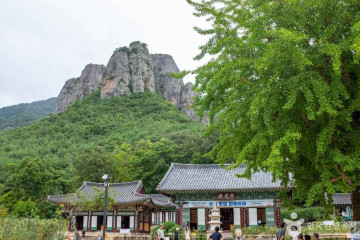 대전사 여행 추천 - 메고지고