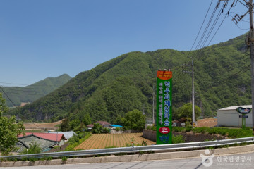 숲속책방 여행 추천 - 메고지고