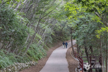 두모마을 여행 추천 - 메고지고
