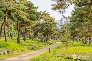 경기도행정역사관 여행 추천 - 메고지고